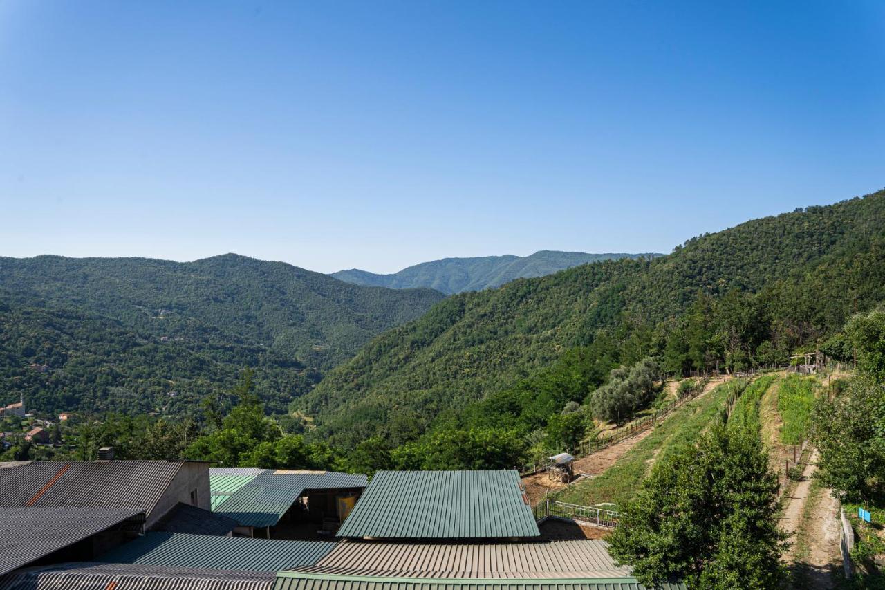 Вілла 01234 - Agriturismo La Marpea, Esperienza In Mezzo Alla Natura E Al Cibo Tipico Italiano Terisso Екстер'єр фото